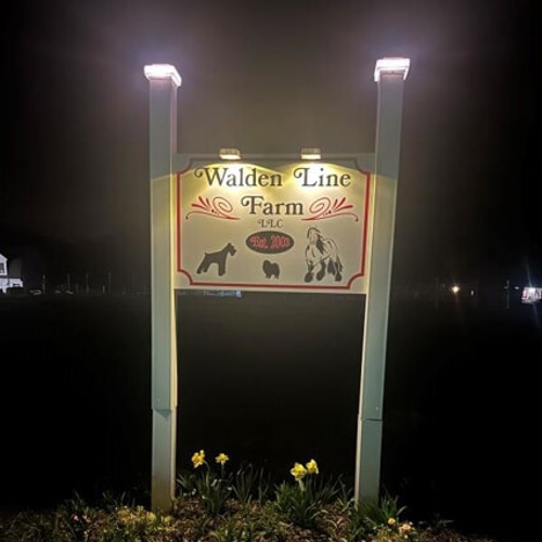 Post & Panel Signs